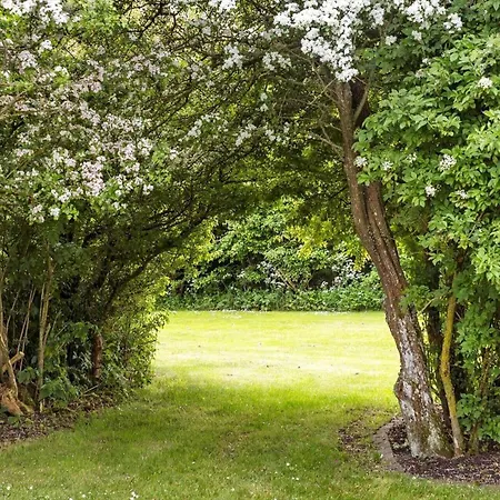 Lf271-vestervig-gunhildsvej-49 Prázdninový dům